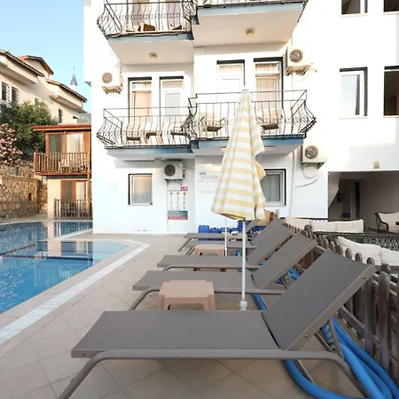 Mut Отель типа 